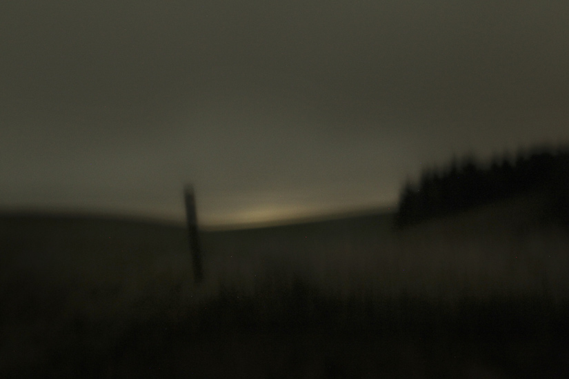 natur-20
