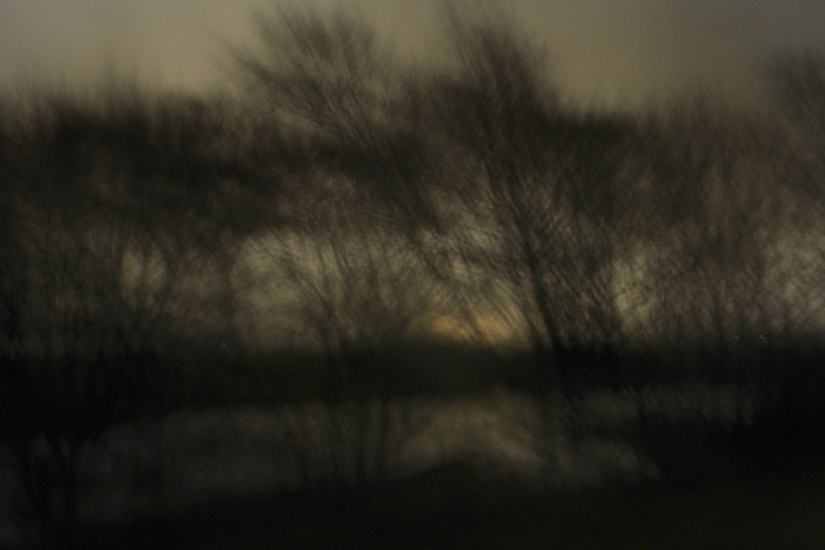 natur-24