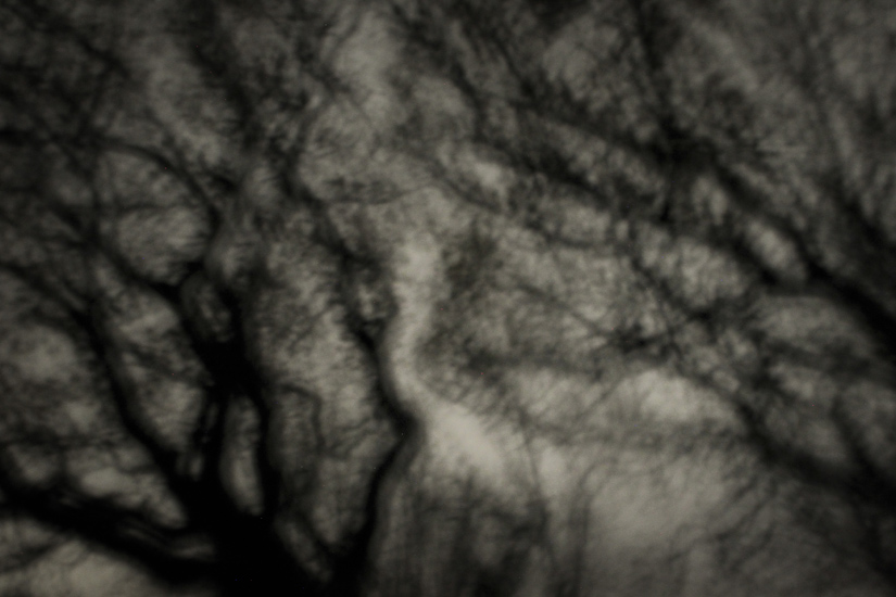 natur-30