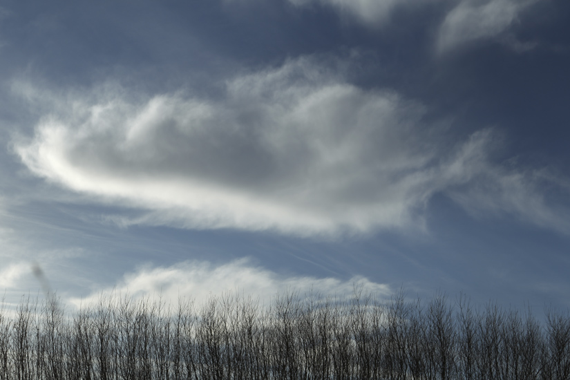 natur-53