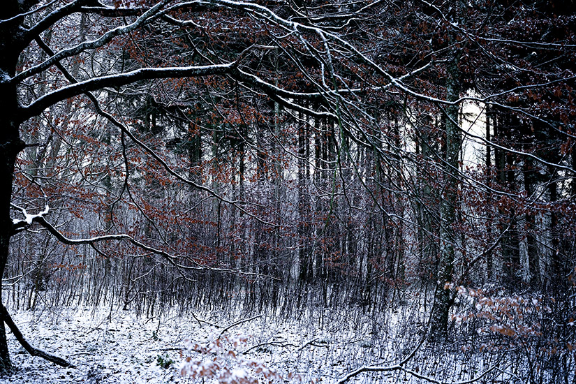 natur-voer-preben-stentoft-17