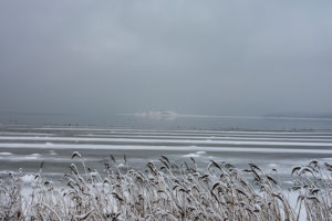 Natur-billeder-sne