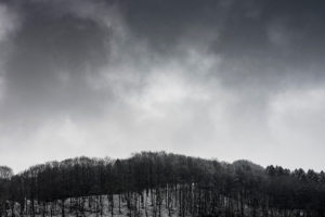Natur-billeder-MolsBjerge